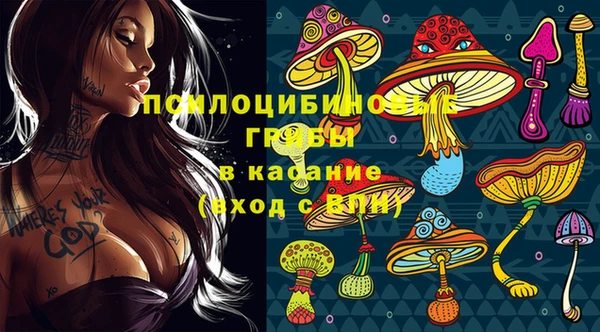 герыч Арсеньев