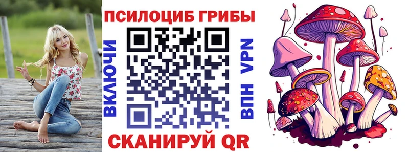 Галлюциногенные грибы ЛСД  Суджа 